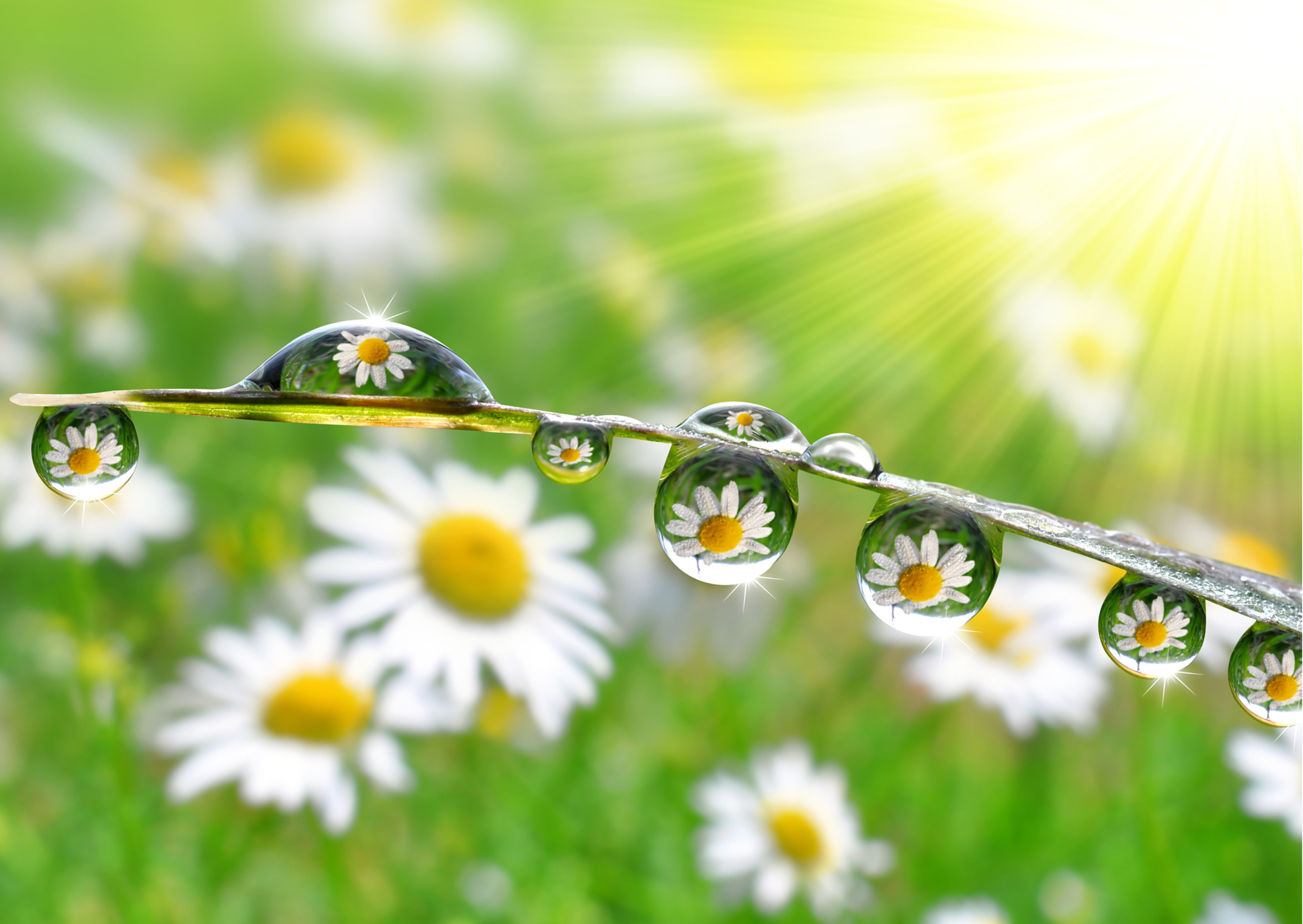 MBSR Réduction du stress